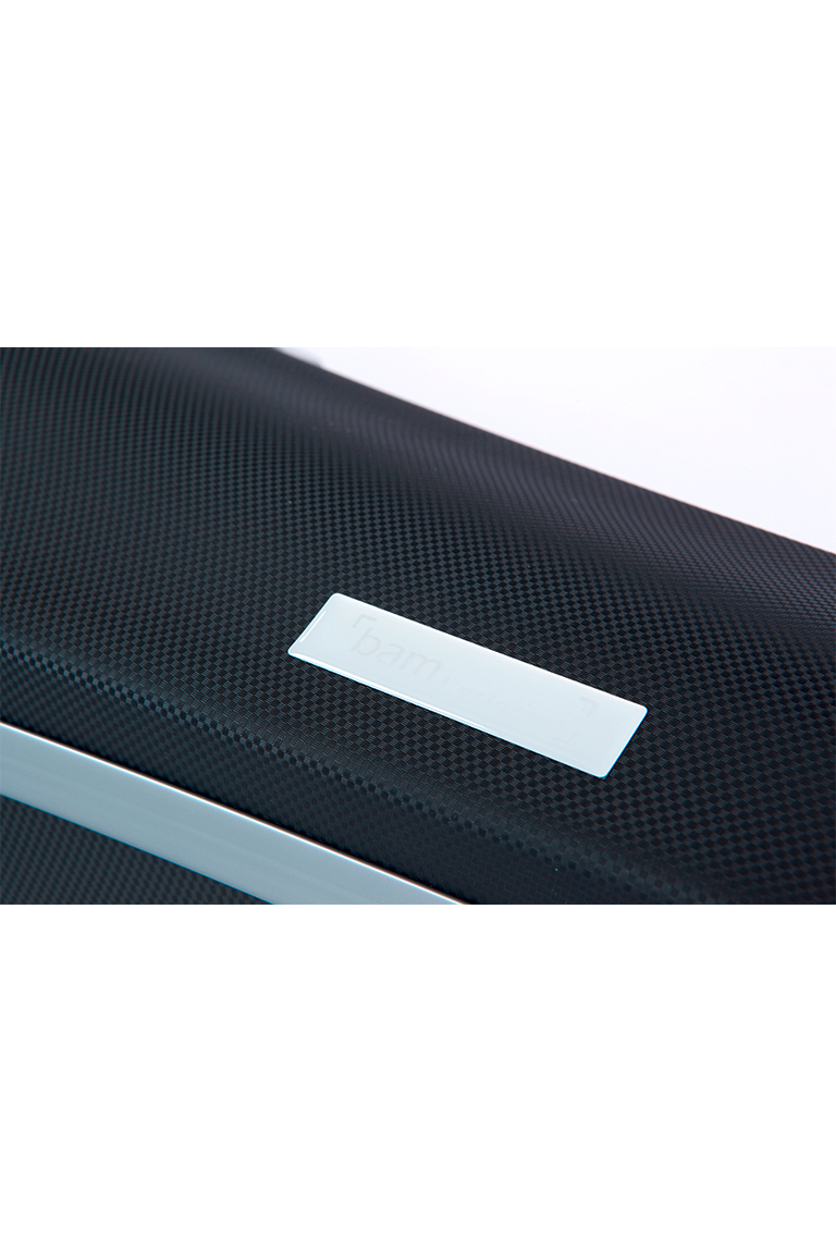 Bam PANTHER HIGHTECH CONTOURED VIOLIN CASE PANT2002XL Fiddle Cases