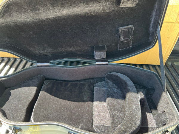 Tonareli Silver Viola Case